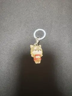 JOCHUM めじるしアクセサリー2 まめちぃ