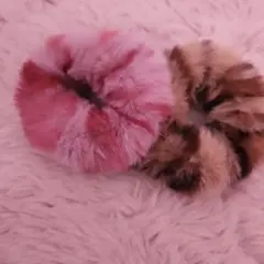 ファーシュシュ(ピンク、ブラウン2個セット)