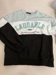 LAUDABLE ロゴ 長袖カットソー 薄手トレーナー バイカラー
