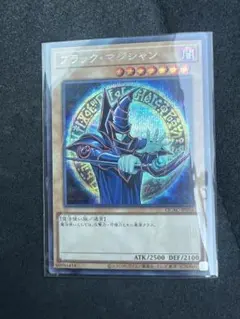 にゃーたん様 リクエスト 2点 まとめ商品