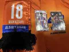 アルビレックス新潟 グッズ