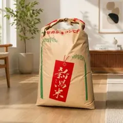 2026年最新】コシヒカリの人気アイテム - メルカリ
