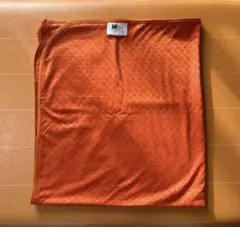 2025年最新】ラジャスシールドの人気アイテム - メルカリ