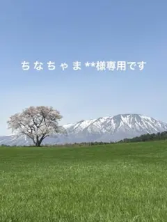 ご依頼品