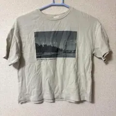 ザラ　140プリントTシャツ 9-10のサムネイル