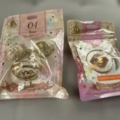 東京ディズニーリゾート 40周年記念セット