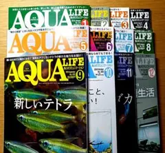 2026年最新】月刊アクアライフの人気アイテム - メルカリ