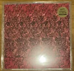 未使用品 アナログレコード LP青] Tempalay GHOST ALBUM - メルカリ