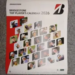 Item thumbnail for item 1e424518-9b86-4759-a8cd-1fcc570fc946