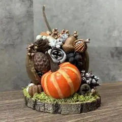⟡.·*.ブッダナッツアレンジメント.·*.ハロウィン゜・*:.。❁