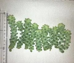 YUI♥様 リクエスト 2点 まとめ商品