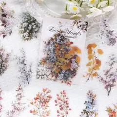 るるる様 リクエスト 3点 まとめ商品