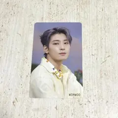 SEVENTEEN ウォヌ SECTOR17 HMV特典