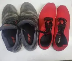 アシックスASICS GEL-NIMBUS Reebokスニーカー2セット