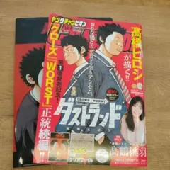 2026年最新】ダストランドの人気アイテム - メルカリ