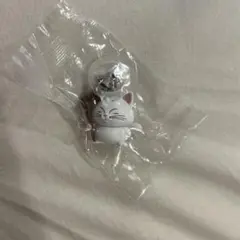 ドラゴンボール　めじるしアクセサリー カリン様