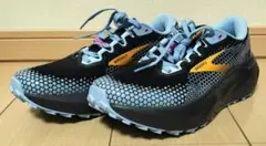 Item thumbnail for item ecc8a7a3-9fe0-4af9-8916-2e95742ef5d4