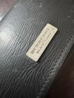 Item thumbnail for item a2d7fc00-cd83-45ff-a0e8-a914151bdc07