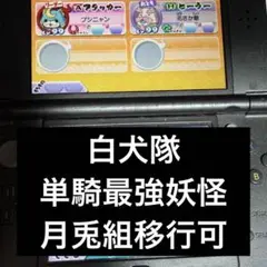 妖怪ウォッチバスターズ 白犬隊 やり込みデータ ブシニャン、花咲所持