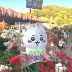 ⭐️新品未開封　ご当地ちいかわ　あしかがフラワーパーク 藤の花 うさぎ×20個⭐️ ご当地ちいかわ あしかがフラワーパーク限定 藤の花 うさぎ