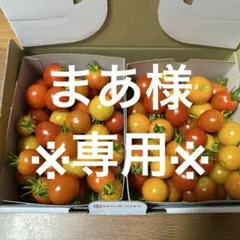 ※まあ様専用※