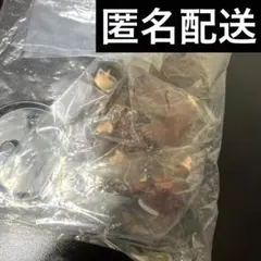 バンダイ シードヒロインズ8 機動戦士ガンダムSEED DESTINY シホ