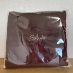 S39.サルート ノベルティ ブランケット&amp;ポケット付きクッション2点セット S39.サルート ノベルティ ブランケット&ポケット付きクッション2