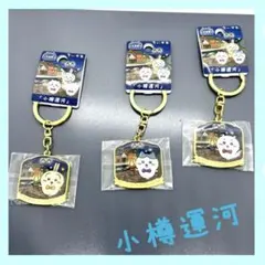 ちいかわ ご当地キーホルダー 小樽運河　うさぎ ちいかわ ハチワレ