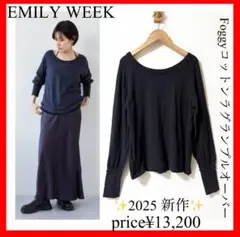 EMILY WEEK✨Foggyコットンラグランプルオーバー　プラージュ