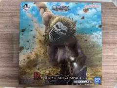 DEROSA様 リクエスト 2点 まとめ商品