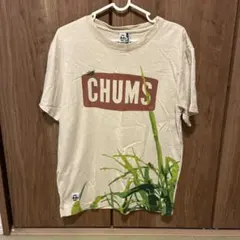 チャムス半袖Tシャツ