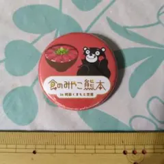 くまモン 食のみやこ熊本 缶バッジ