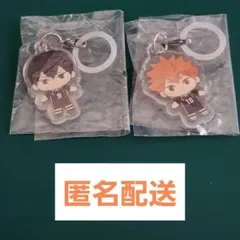 ハイキュー!! ふらっとめじるしアクセサリー 日向 影山