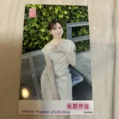 AKB48 永野芹佳 ガラポンチェキ風生写真 2026年5月 9枚 - メルカリ