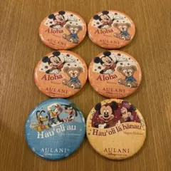ディズニー・アウラニ 缶バッジ 6個セット