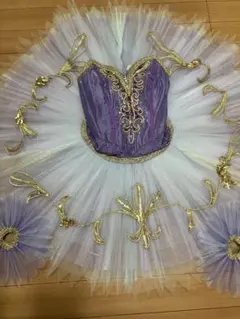 Item thumbnail for item 9056e8e2-17aa-48a2-bd9e-6ec3b431d93b