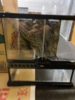 Item thumbnail for item cd454453-f05c-4f8a-8dec-3e1a4456018f