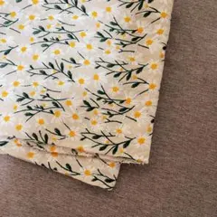 Item thumbnail for item 00619b87-c066-4cec-976b-a3700001cc37