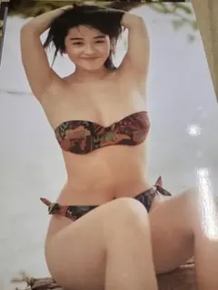 【週末限定】西田ひかるさん女性アイドル 2L写真10枚セットB-32