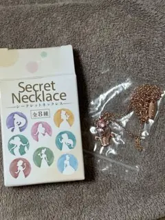 ディズニーストア　シークレットネックレス　オーロラ