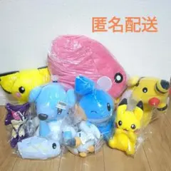ポケモン ぬいぐるみ 9体まとめ売り ポケットモンスター