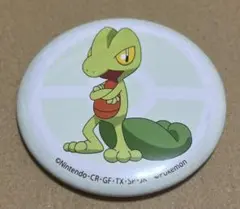 ポケットモンスター　缶バッジ　コレクション