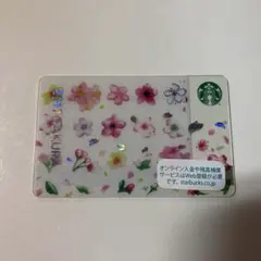 スターバックカード さくら2017