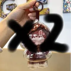 SKULLPANDA スカルパンダ　保護ケース　チェーン付き 収納＆保護用