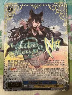 ヴァイス anemoi “空から降ってくる少女”愛乃 サイン TDSP - メルカリ