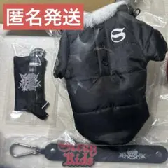 straykids スキズ アプグレ