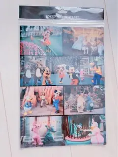 ディズニー　イマジニングザマジック　クリアホルダー　クリアファイル　40周年