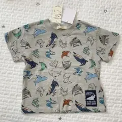 Item thumbnail for item 5daeec4b-b53e-4040-a391-438932d6e618