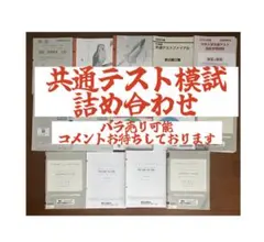 メル様専用 共通テスト模試詰め合わせ 河合駿台ベネッセ進研代ゼミZ会大進研