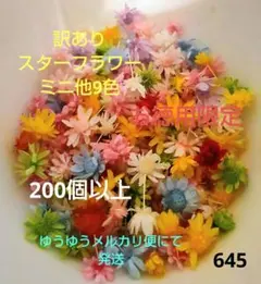 訳あり645スターフラワーミニ他9色　200個以上